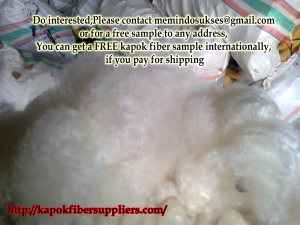 kapok fiber wholesale