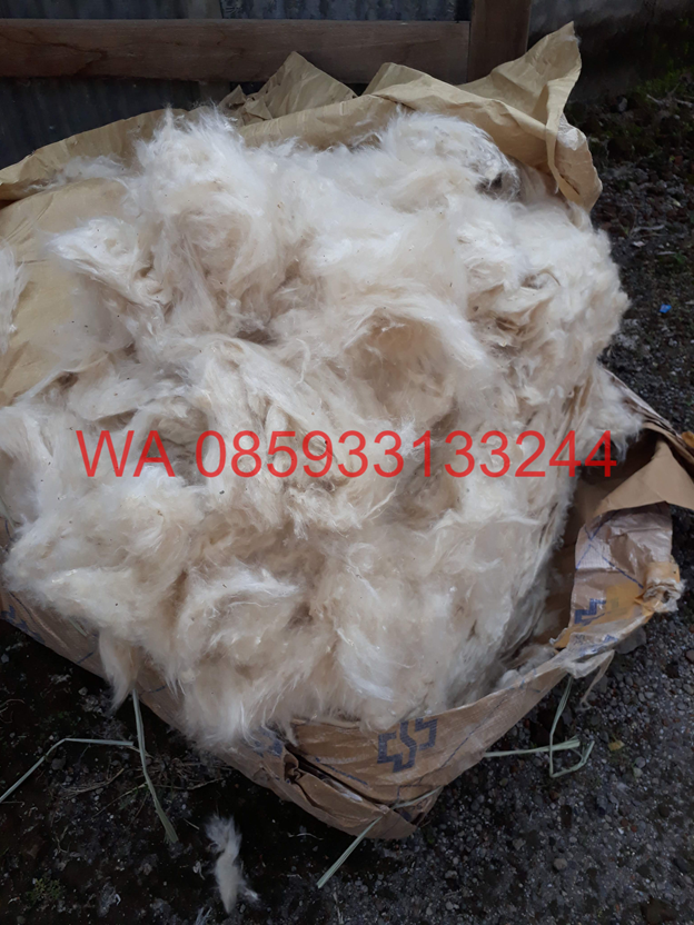 kapok fibre suppliers