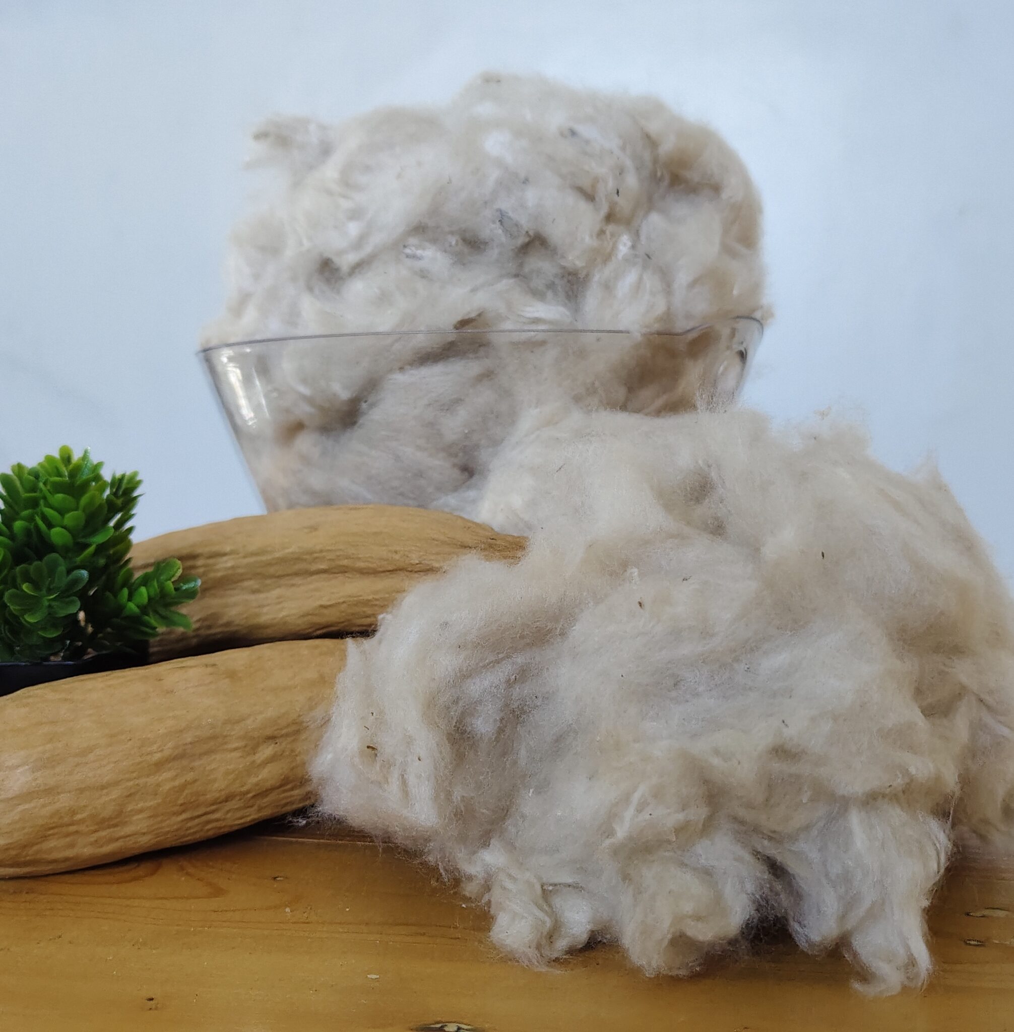 The Fascinating World of Kapok Nature’s Wonder Fiber