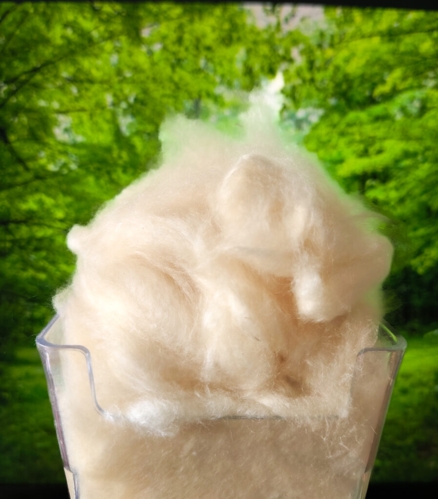 kapok fiber