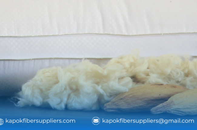 kapok fiber