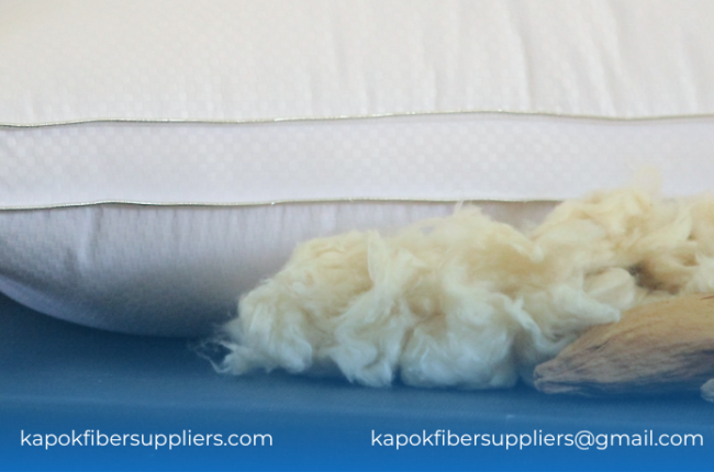 kapok fiber