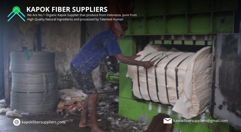 kapok fiber