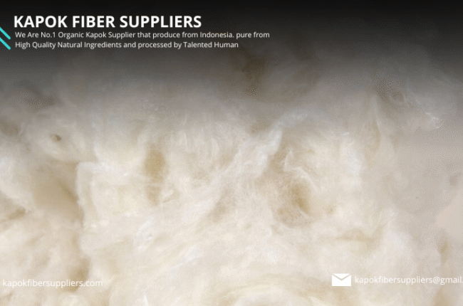 kapok fiber