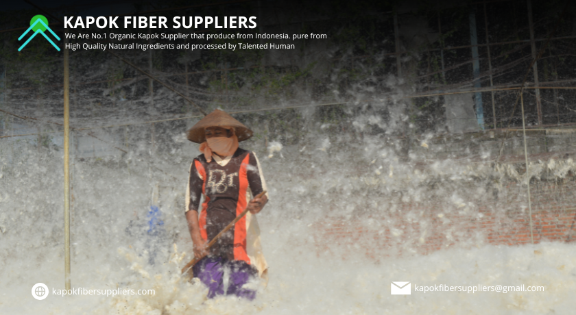kapok fiber