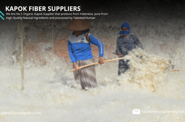 kapok fiber