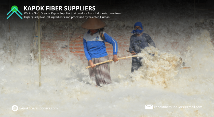 kapok fiber
