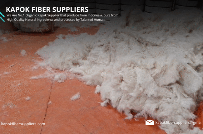 kapok fiber