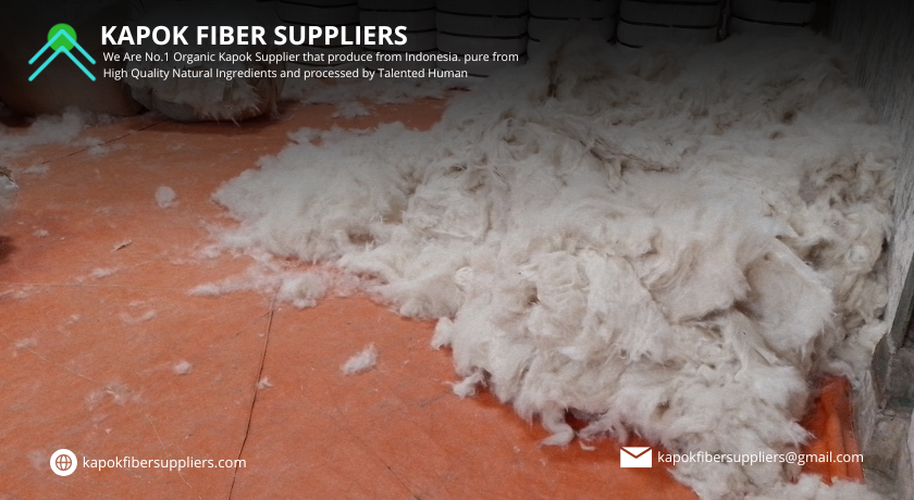 kapok fiber