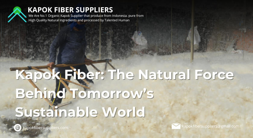 kapok fiber
