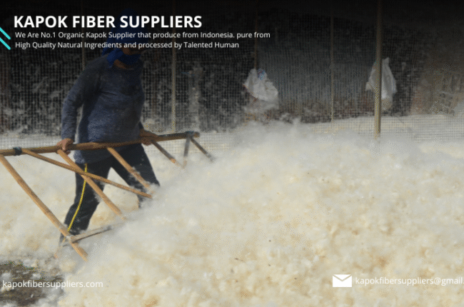 kapok fiber
