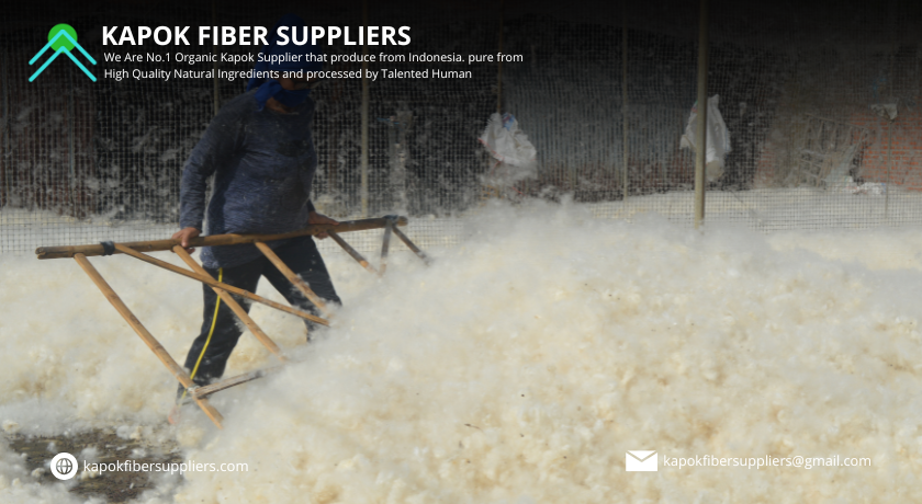 kapok fiber