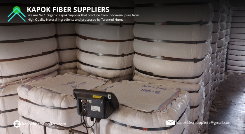 kapok fiber