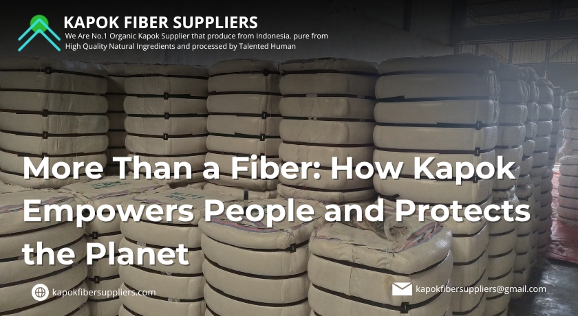 kapok fiber