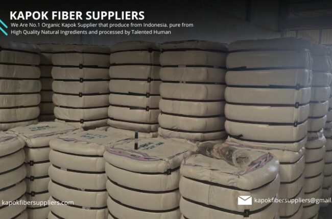 kapok fiber