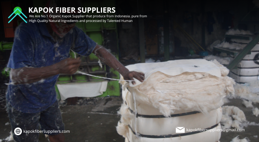 kapok fiber