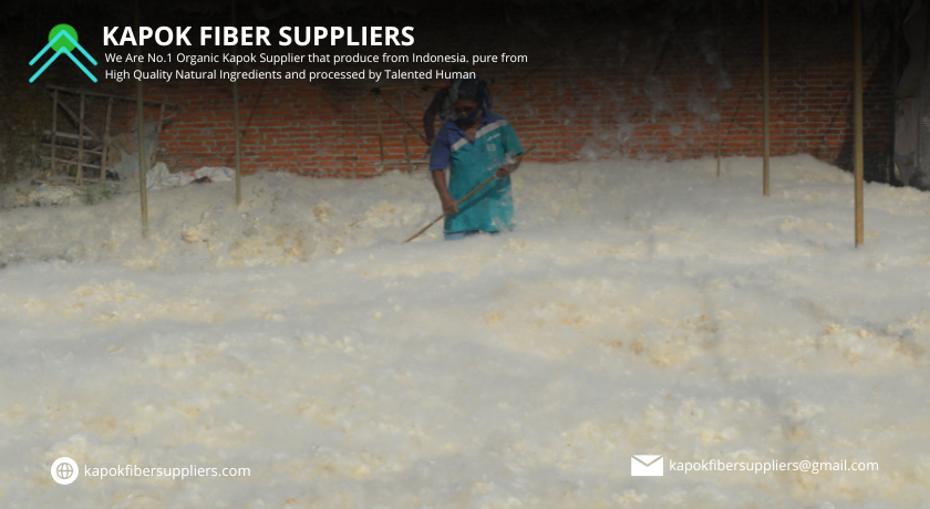 kapok fiber
