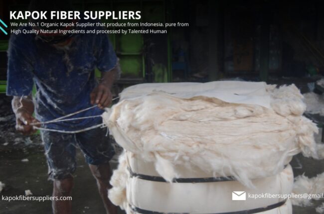 kapok fiber