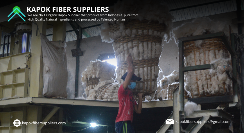 kapok fiber