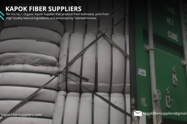 kapok fiber