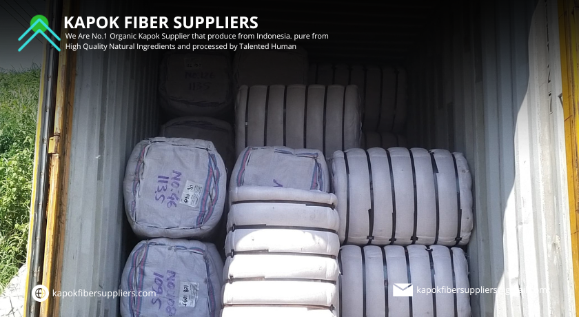 kapok fiber