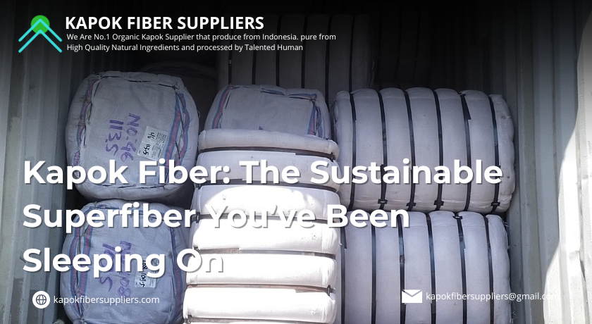 kapok fiber