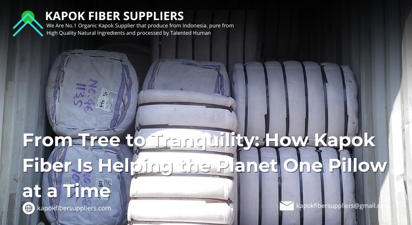 kapok fiber