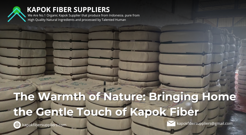 kapok fiber