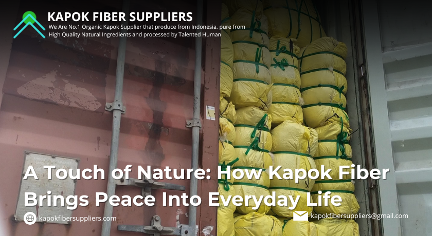 kapok fiber
