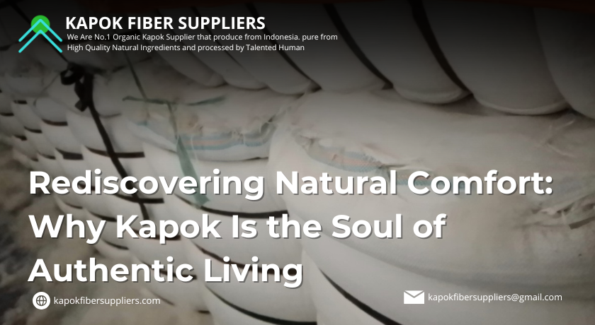 kapok fiber