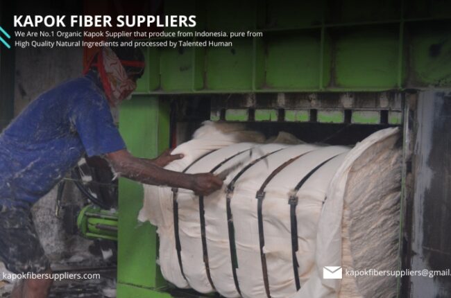 kapok fiber