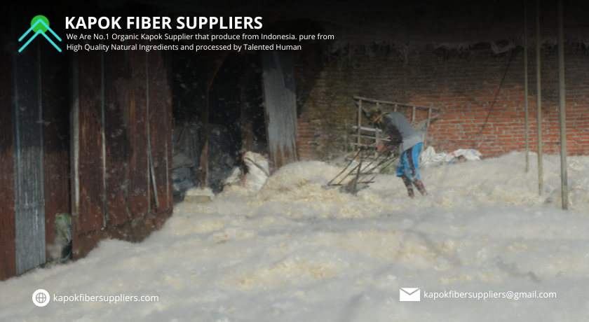 kapok fiber