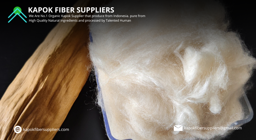 kapok fiber