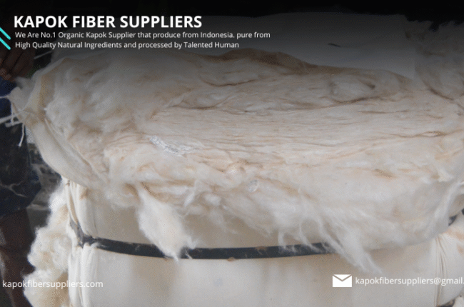 kapok fiber