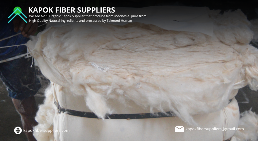 kapok fiber