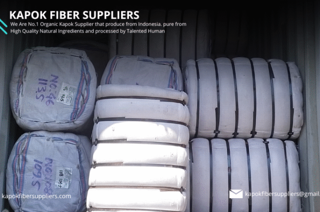 kapok fiber