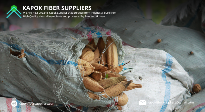 kapok fiber