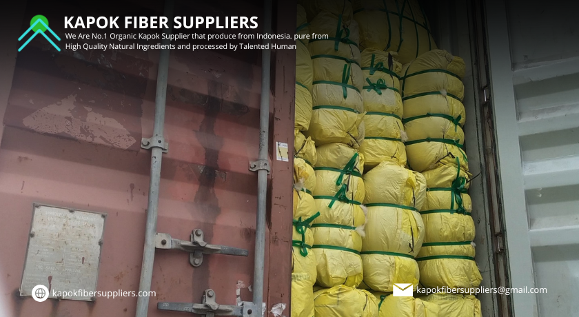kapok fiber