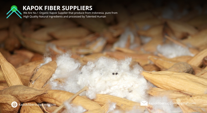 kapok fiber
