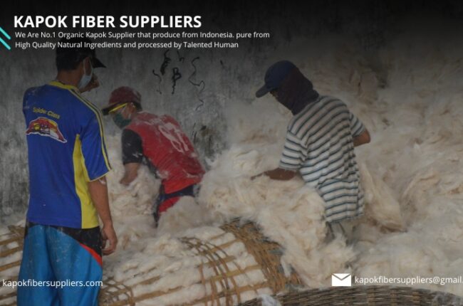 kapok fiber