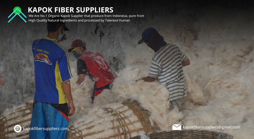kapok fiber