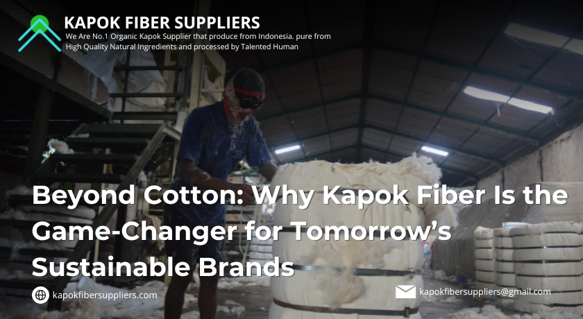 kapok fiber