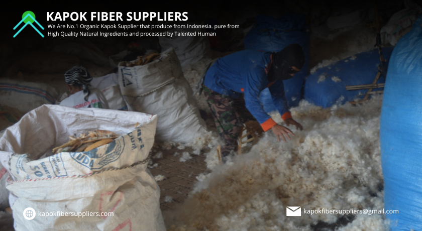 kapok fiber