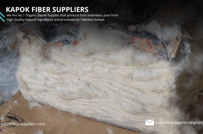 kapok fiber