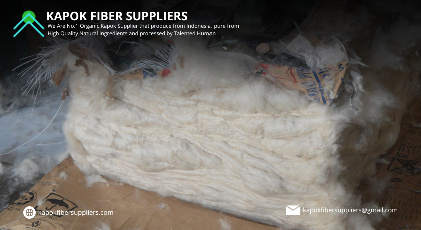 kapok fiber