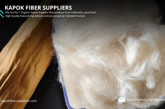 kapok fiber