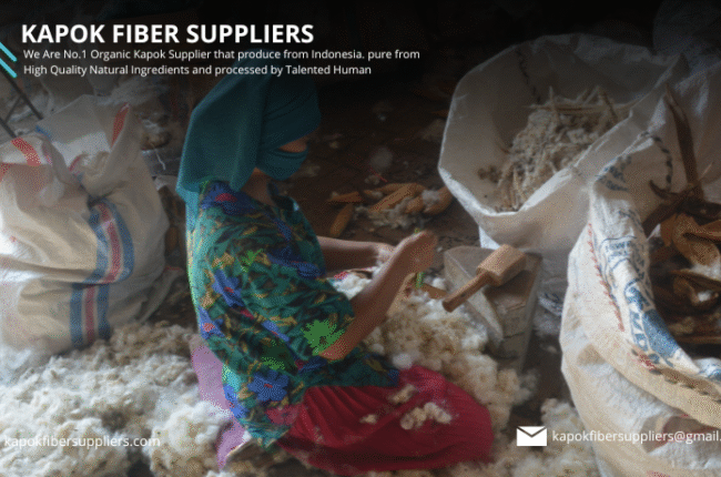 kapok fiber