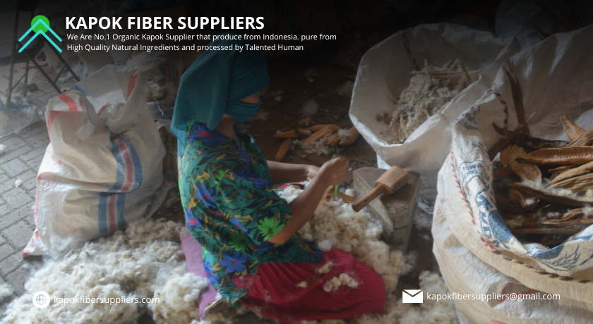 kapok fiber