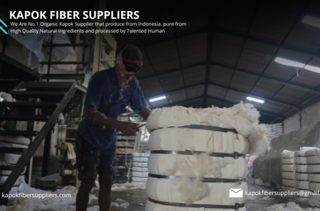 kapok fiber