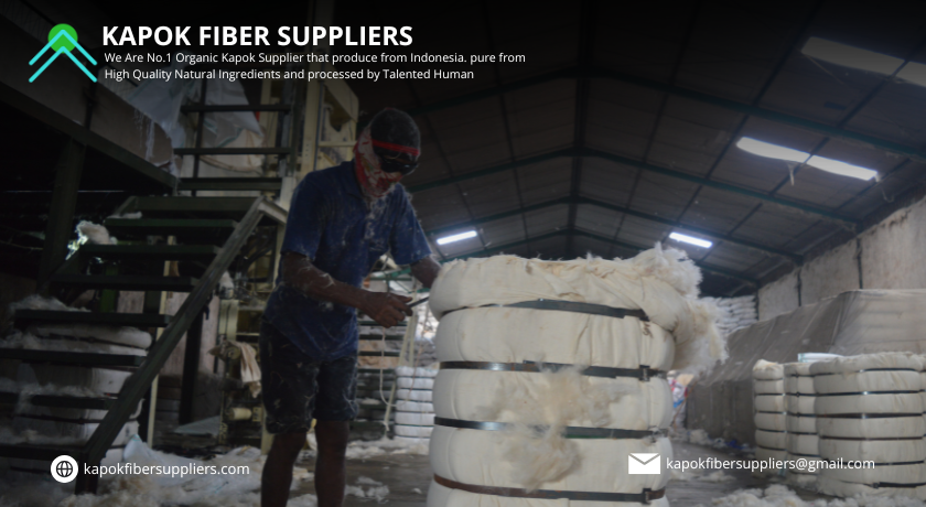 kapok fiber